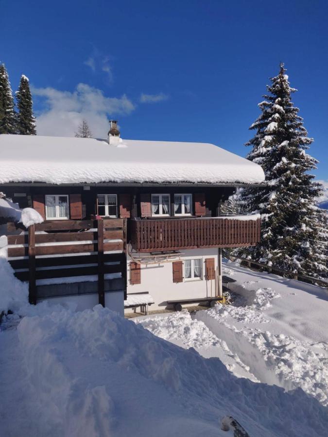Chalet Grazia Riederalp Exterior foto